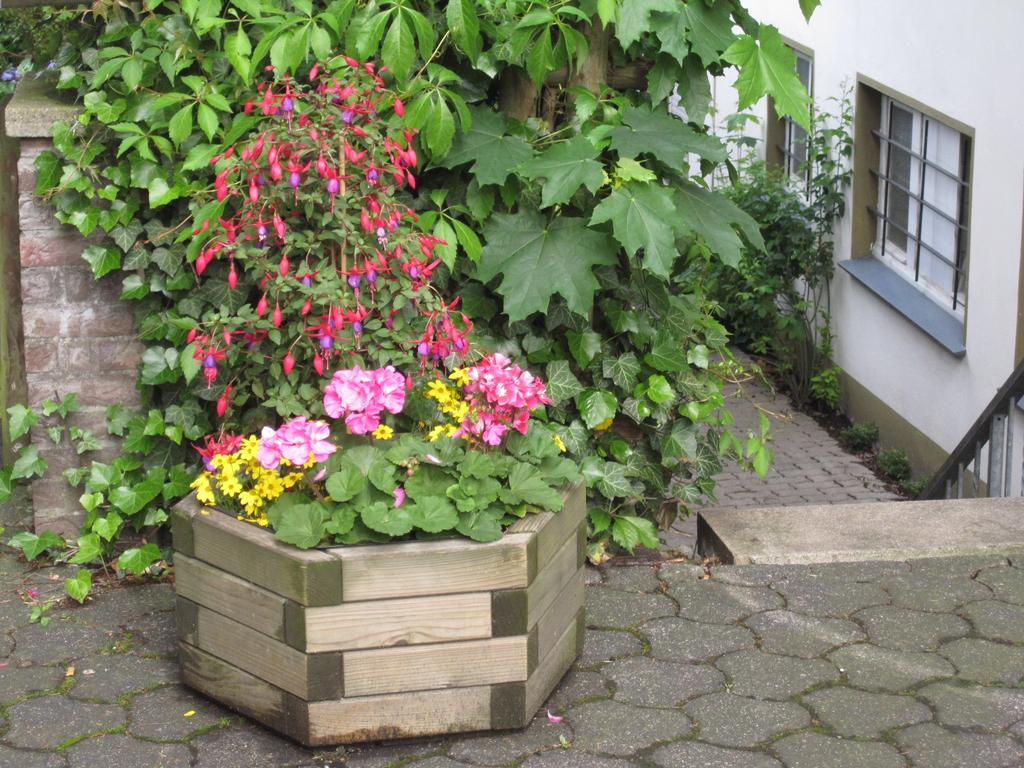 Hotel Heidi'S Art Arnsberg Zewnętrze zdjęcie